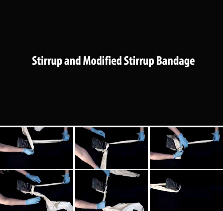 Figure 13-17: Stirrup bandage